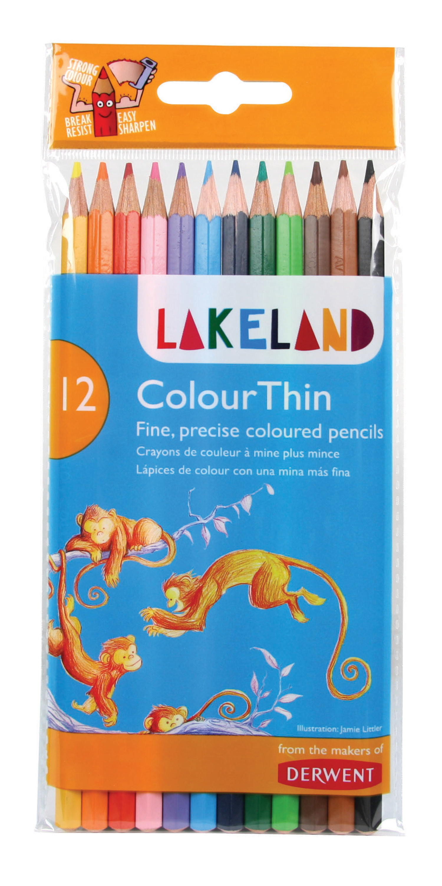 Derwent Lakeland Colourthin Colouring Pencils Hexagonal Barrel Hard-wearing Assorted (Pack of 12)