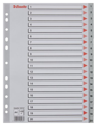 Esselte Index; PP; A4 - Outer carton of 10