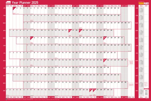 Sasco 2025 Original Year Wall Planner 915W x 610mmH With Wet Wipe Pen & Sticker Pack Board Mounted - 2410238 49650AC