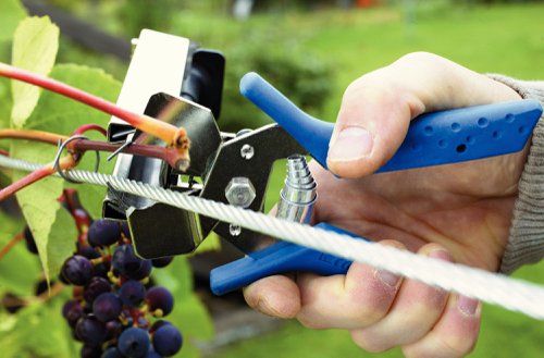 Rapid C85 Vine Hogrings