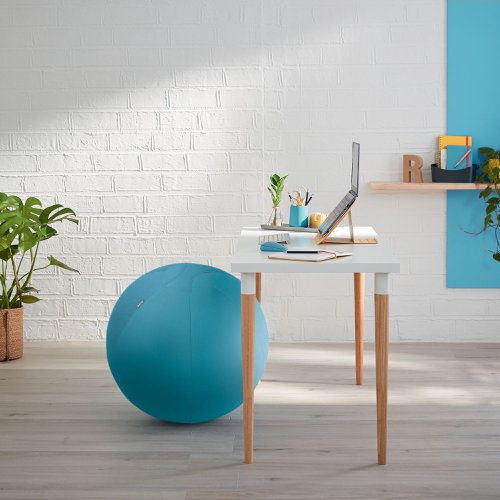The Leitz Ergo Cosy Active Sitting Ball encourages back and core muscle movement, improving posture and relieving back pain. Ideal for use as a desk chair to keep you active while you work, a yoga ball or for back stretching, physiotherapy and gym ball workouts. Quick and easy to inflate, it comes with a hand pump, 2 plugs and has a durable carry handle making it easy to carry from room to room. With its minimalist design, this stylish exercise ball chair will improve health and wellbeing by creating the perfect active working set-up.