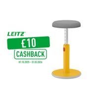 Leitz Ergo Cosy Active Sit Stand Stool Warm Yellow - 65180019