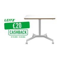 Leitz Ergo Sit Stand Desk Small W800xD600mm White - 65360001