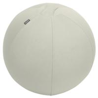 Leitz Ergo Active Sitting Ball 55cm Anti-Roll-Away Light Grey - 65410085