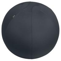 Leitz Active Sit Ball 65cm Anti-Roll-Away Dark Grey - 65420089