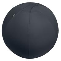 Leitz Active Sit Ball 75cm Anti-Roll-Away Dark Grey - 65430089