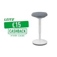 Leitz Ergo Active Standing Stool With Comfort Seat Light Grey - 65450085