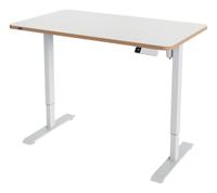 Leitz Ergo Compact Electric Sit Standing Desk 120 x 70cm