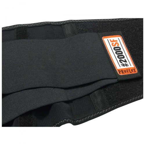Ergodyne 2000Sf L Black High-Performance Back Support 11284