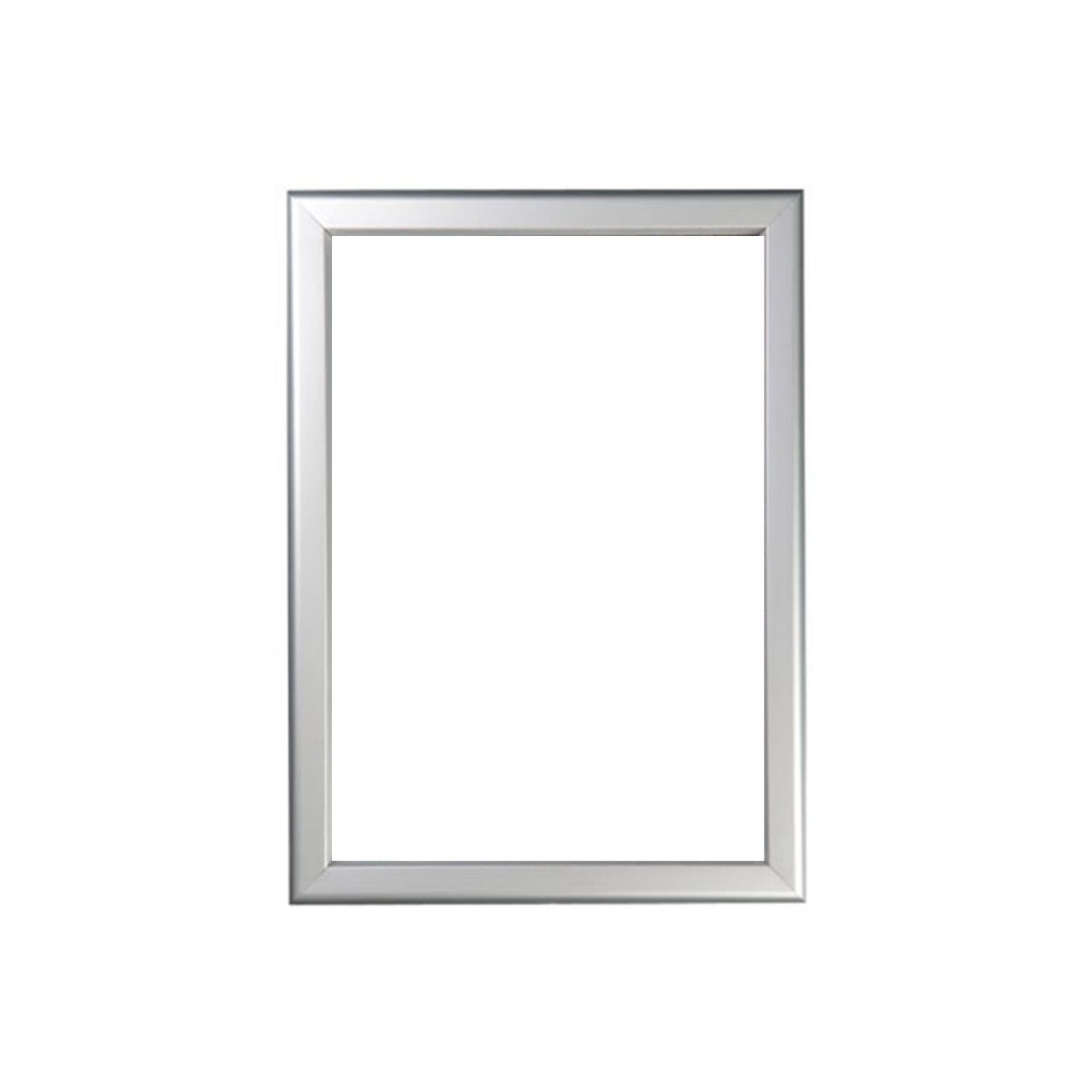 Snap Frame standard Au A4