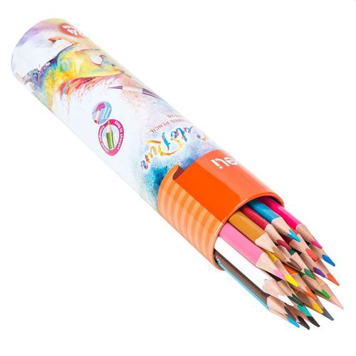 Colorun Pencil Tube Assorted Pack 24 - 108-1052