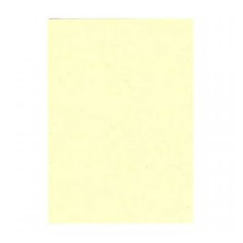 Pavo Leatherboard covers A4 270gsm ivory - 1414