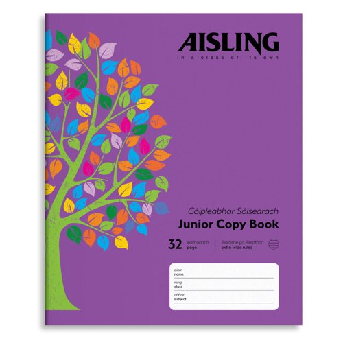 Aisling Junior 15mm Writing Copy Pk10