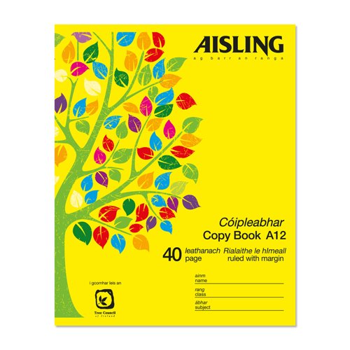 Aisling Copy Book 20x16 40PG 10/PK ASx2