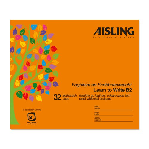 Aisling Learn to Write 17x20 32PK 10/PK ASxB2