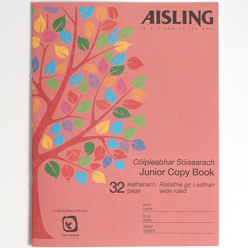 603720 Rhino Aisling Exercise Book F11 200X165mm Pack Of 10 Asj08 3P