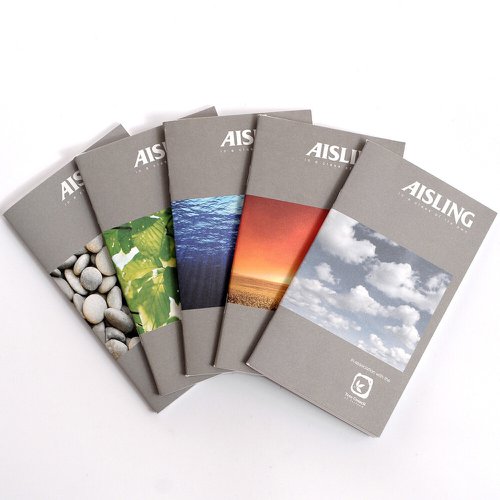 Rhino Aisling Notebook F7 165X102mm Pack Of 5 Asnb4 3P