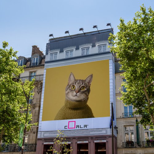 Coala Frontlit Daily S 450FR Banner 1100x30M 450gsm SV/UV/LX 1 roll