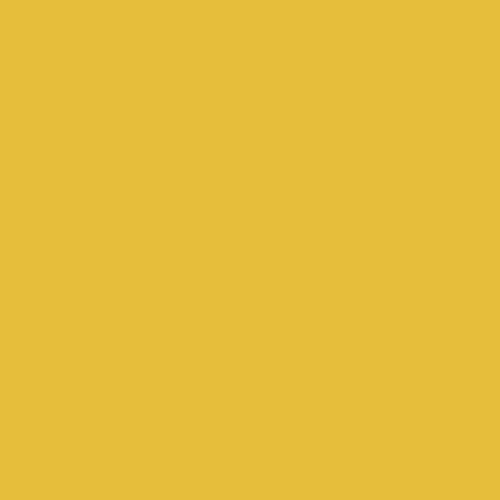 Coala Int Film Colours M8 Bright Yellow 1220mmx50M Perm Air Free 220mic Min 5M