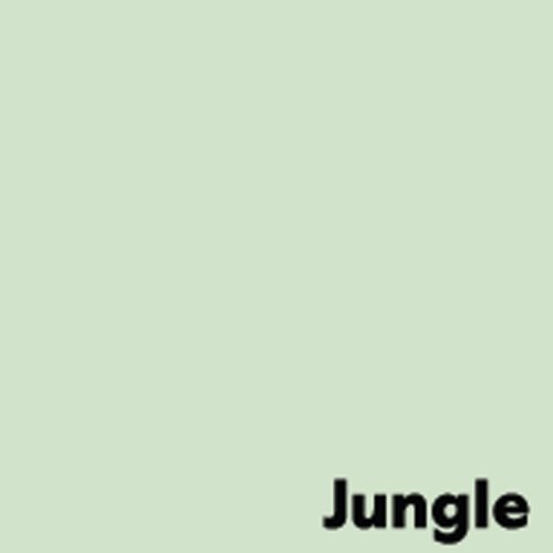 Image Coloraction Pale Green (Jungle) FSC4 Sra2 450X640mm 230Gm2/307mic Pack 150 Antalis Limited