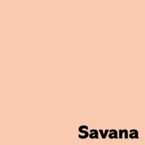 Image Coloraction Pale Salmon (Savana) FSC4 Sra2 450X640mm 160Gm2 210mic Pack 250