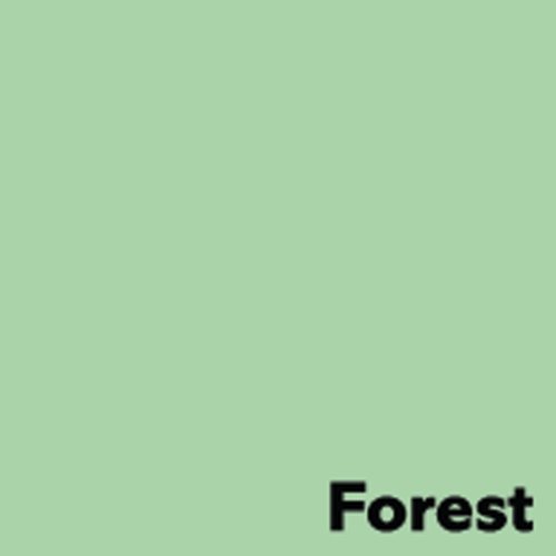 Image Coloraction Pale Green Forest FSC Mix Credit Sra2 450X640mm 230gsm/307mic Pack 150