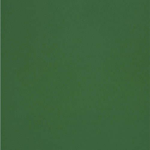 601630 Olin Colours Jungle Green Matt Wove 240Gm2 700 x 1000mm B1 LG Pack Of 100