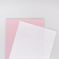 Xerox Premium Digital Carbonless Pre-Collated A3 297X420mm 80Gm2 Pack 500 003R99134 White/Pink