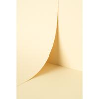 Keaykolour China White 120gsm 700x1000mm B1 LG Pack Of 250 FSC Mix Credit