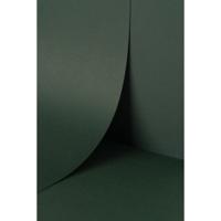 Keaykolour Holly 120gsm 700x1000mm B1 LG Pack Of 250 FSC Mix Credit