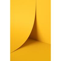 Keaykolour Indian Yellow 120gsm 700x1000mm B1 LG Pack Of 250 FSC Mix Credit
