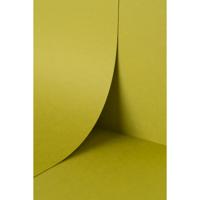 Keaykolour Kiwi 300gsm 700x1000mm B1 LG Pack Of 100 FSC Mix Credit