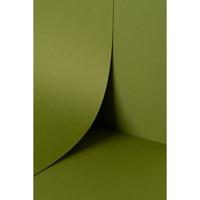Keaykolour Meadow 300gsm 700x1000mm B1 LG Pack Of 100 FSC Mix Credit