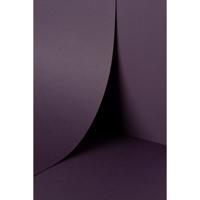 Keaykolour Prune 300gsm 700x1000mm B1 LG Pack Of 100 FSC Mix Credit