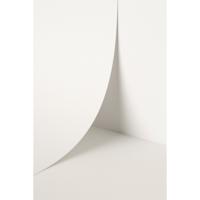 Keaykolour Pure White 450gsm 700x1000mm B1 LG Pack Of 50 FSC Mix Credit