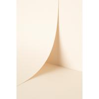 Keaykolour Snow White 120gsm 700x1000mm B1 LG Pack Of 250 FSC Mix Credit