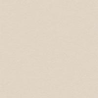 Coala Int Film Concrete NH49 Snowflake Stucco 1220mmx50M Perm Air Free 2
