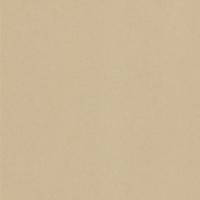 Coala Int Film Textile NE42 Caramel Leather 1220mmx50M Perm Air Free 240