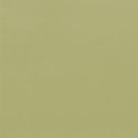 Coala Int Film Colours RM19 Light Olive Grain 1220mmx50M Perm Air Free 2