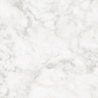 Coala Int Film Stone NH48 Opal White 1220mmx50M Perm Air Free 200mic Min