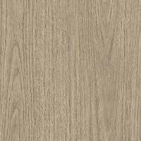 Coala Int Film Wood NH74 Eucalyptus Grove 1220mmx50M Perm Air Free 250mic