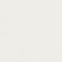 Conqueror Cx22 High White 120gsm Smooth 137mic 720x1020mm B1+ LG Pack Of 250 FSC Mix Credit