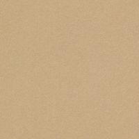 Curious Metallics Gold Leaf 120Gm2 162mic 720 x 1020mm B1+ LG Pack Of 250