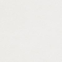 Curious Metallics Ice Silver 120Gm2 162mic 720 x 1020mm B1+ LG Pack Of 250