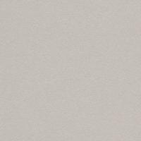 Curious Metallics Lustre 300Gm2 400µm 720 x 1020mm B1+ LG Pack Of 100