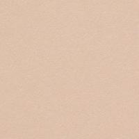 Curious Metallics Nude 300Gm2 400mic 720 x 1020mm B1+ LG Pack Of 100