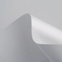 Curious Matter Goya White 270gsm Matt 1.35 700x1000mm B1 LG Pack Of 100 FSC Mix Credit