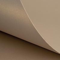 Curious Metallics Champagne 300Gm2 400mic 720x1020mm B1+ LG Pack Of 100 S