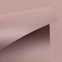 Curious Metallics Rose Gold 300Gm2 400mic 720x1020mm B1+ LG Pack Of 100 S