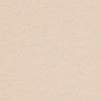 Keaykolour Biscuit 300gsm 700x1000mm B1 LG Pack Of 100 FSC Mix Credit